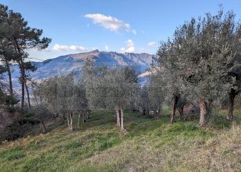 Panorama (5).jpg - Rustico Via Capezzano 33, Pietrasanta - foto 16