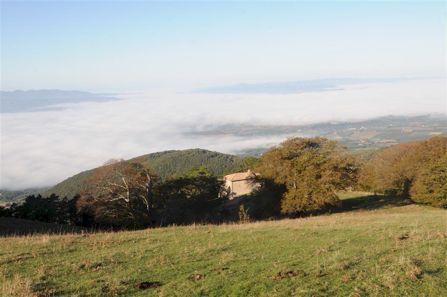 Faggi-di-San-Pietro-Monte-3.jpg - Porzione di casa Massa Martana - foto 2