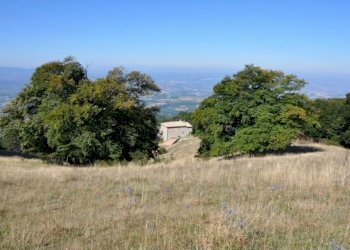 082-168-600-450-80.jpg - Porzione di casa Massa Martana - foto 1