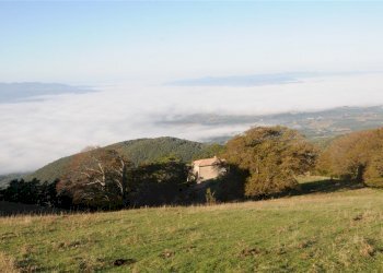 Faggi-di-San-Pietro-Monte-3.jpg - Porzione di casa Massa Martana - foto 2