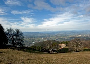 SSS_3784.jpg - Porzione di casa Massa Martana - foto 3