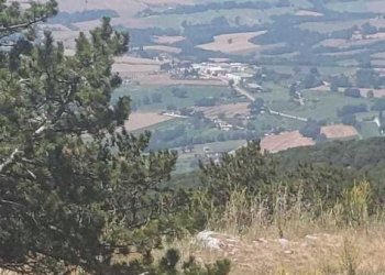 WhatsApp Image 2023-07-19 at 10.57.03.jpeg - Porzione di casa Massa Martana - foto 4