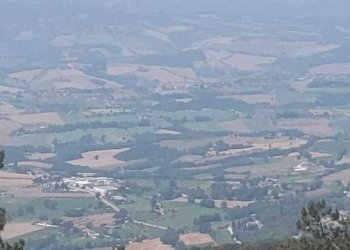 WhatsApp Image 2023-07-19 at 10.57.21.jpeg - Porzione di casa Massa Martana - foto 5