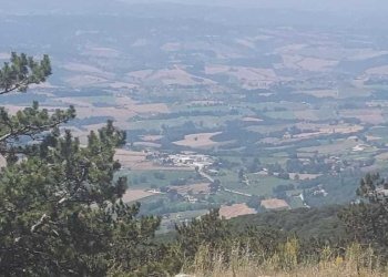 WhatsApp Image 2023-07-19 at 10.59.23 (1).jpeg - Porzione di casa Massa Martana - foto 6