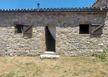 WhatsApp Image 2023-07-19 at 10.59.28 (1).jpeg - Porzione di casa Massa Martana - foto 7