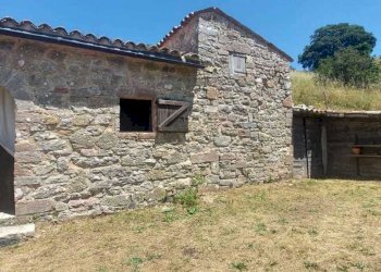 WhatsApp Image 2023-07-19 at 10.59.29 (3).jpeg - Porzione di casa Massa Martana - foto 9