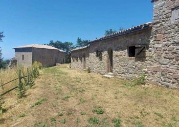 WhatsApp Image 2023-07-19 at 10.59.50.jpeg - Porzione di casa Massa Martana - foto 13