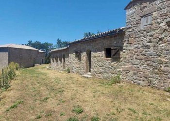 WhatsApp Image 2023-07-19 at 10.59.29 (1).jpeg - Porzione di casa Massa Martana - foto 27