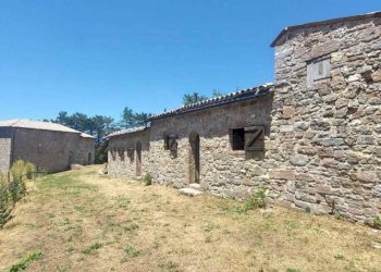 WhatsApp Image 2023-07-19 at 10.59.35.jpeg - Porzione di casa Massa Martana - foto 29