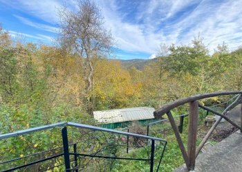 IMG-20231105-WA0038.jpg - Rustic via miogliola  6, Pareto - photo 4