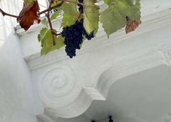 IMG-20231105-WA0043.jpg - Rustic via miogliola  6, Pareto - photo 8