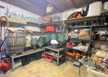 IMG-20231105-WA0029.jpg - Rustic via miogliola  6, Pareto - photo 16