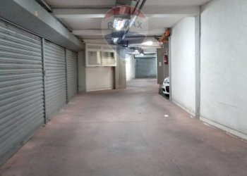 Box Napoli - foto 10