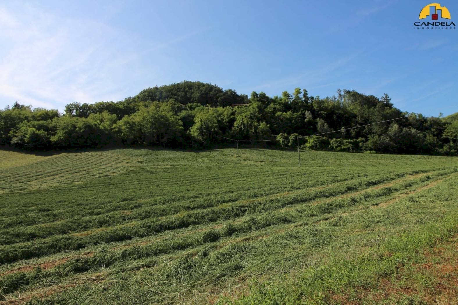 Farm Cuneo - photo 2