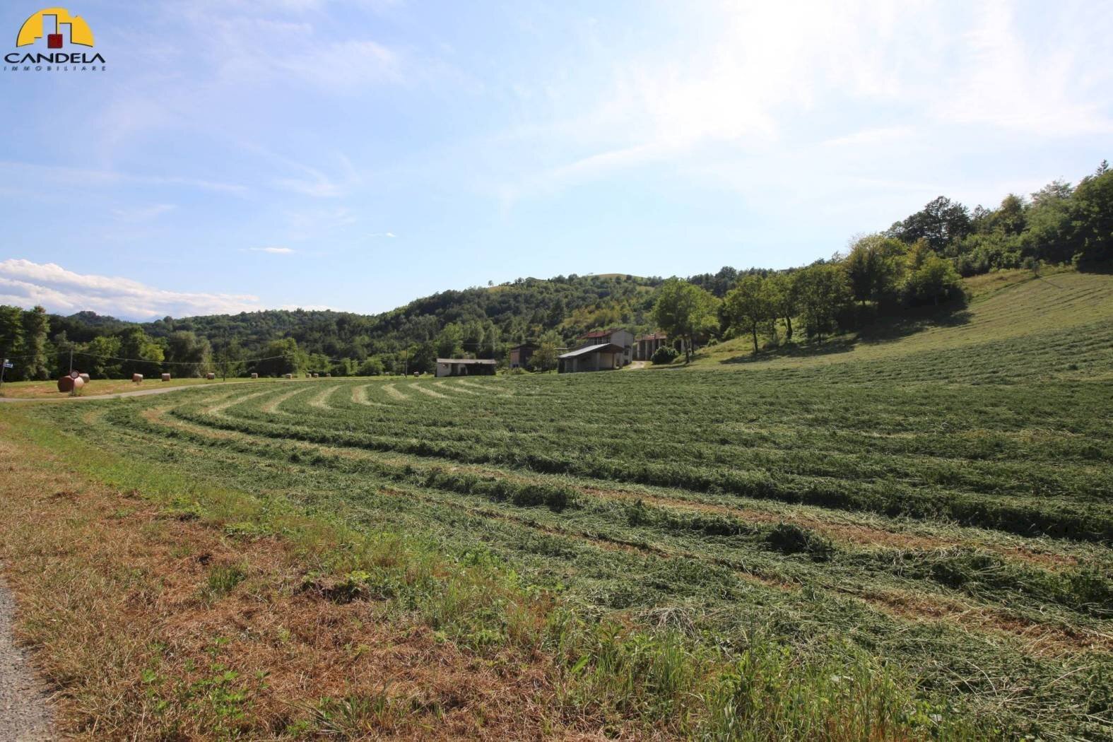 Farm Cuneo - photo 3