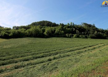 Farm Cuneo - photo 2