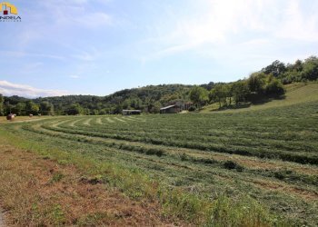 Farm Cuneo - photo 3
