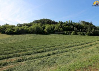 Farm Cuneo - photo 4