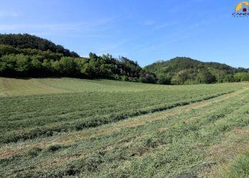 Farm Cuneo - photo 6