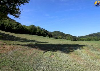 Farm Cuneo - photo 7