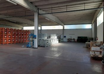 Capannone Albinea - foto 2