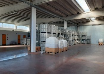 Capannone Albinea - foto 3