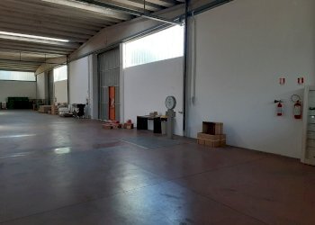 Capannone Albinea - foto 4