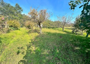 Casa indipendente Pocapaglia - foto 18