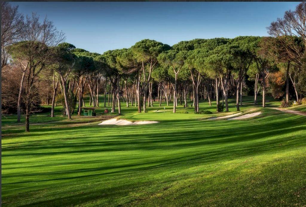 dintorni - Villa largo dell'Olgiata, 15, Roma - foto 1