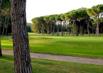 dintorni - Villa largo dell'Olgiata, 15, Roma - foto 7