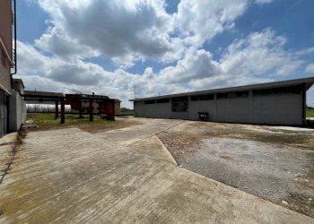 Cortile interno - Capannone via Asilo, 25, Carmagnola - foto 6
