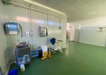 Interno non residenziale - Capannone via Asilo, 25, Carmagnola - foto 16