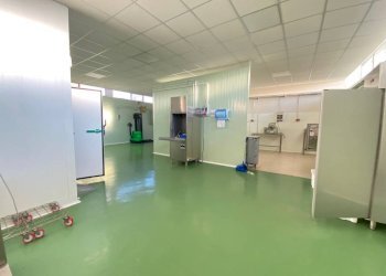 Interno non residenziale - Capannone via Asilo, 25, Carmagnola - foto 17