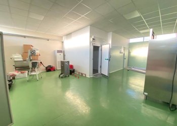 Interno non residenziale - Capannone via Asilo, 25, Carmagnola - foto 19