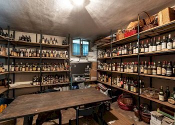 Cantina vini - Villa via Novara, 87/d, Trecate - foto 24