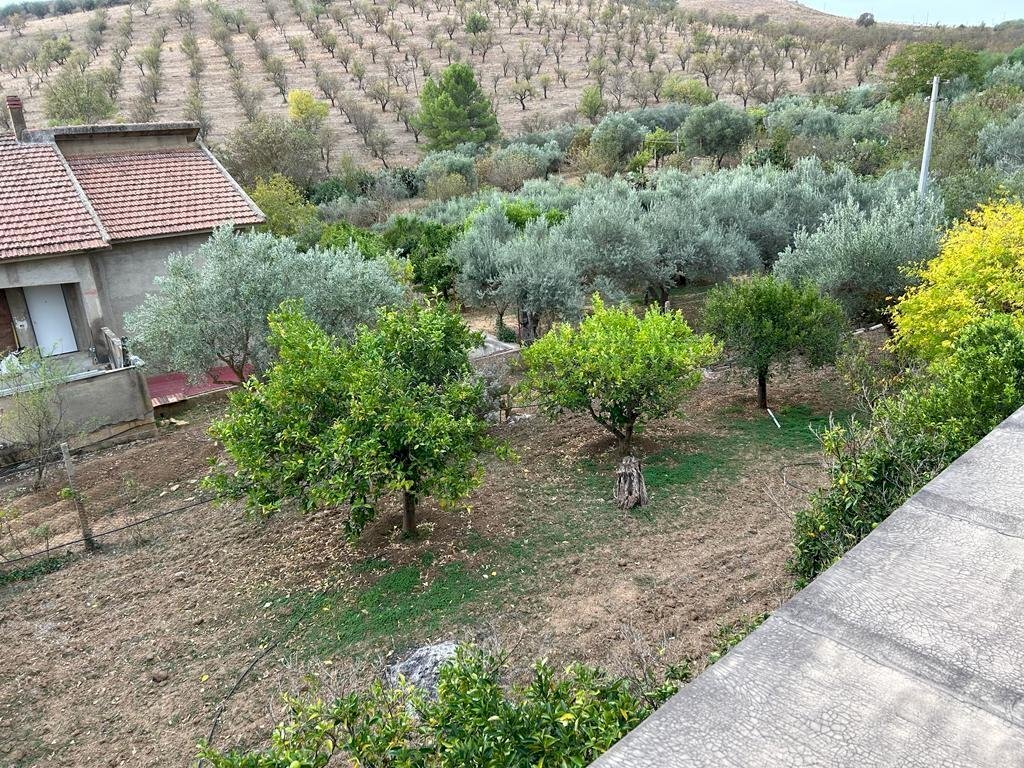 WhatsApp Image 2023-11-07 at 19.15.12 (5).jpeg - Independent house contrada sabucina, Caltanissetta - photo 3