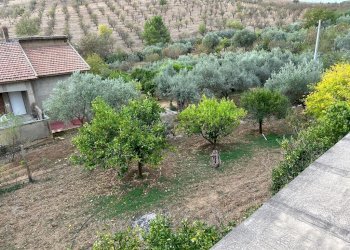 WhatsApp Image 2023-11-07 at 19.15.12 (5).jpeg - Casa indipendente contrada sabucina, Caltanissetta - foto 3