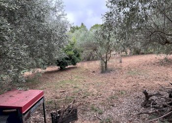 WhatsApp Image 2023-11-07 at 19.15.12 (21).jpeg - Casa indipendente contrada sabucina, Caltanissetta - foto 13