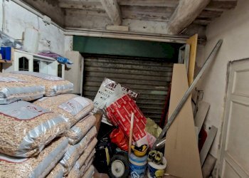 20231106_124911.jpg - Appartamento Via Roosevelt Franklyn D, Lucca - foto 18