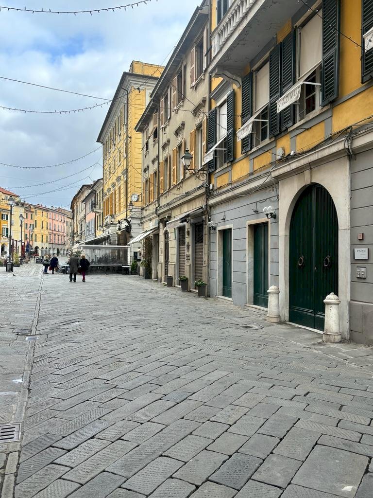 WhatsApp Image 2023-11-13 at 12.18.35 (1).jpeg - Commercial Premises Sarzana - photo 2
