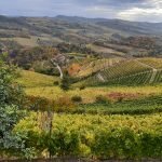 Terreno agricolo Canelli - foto 2