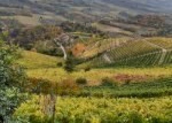 Agricultural land Canelli - photo 2