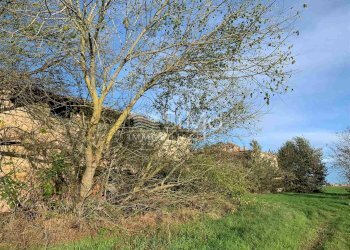 Rustico Castello d'Argile - foto 9