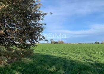 Rustico Castello d'Argile - foto 10