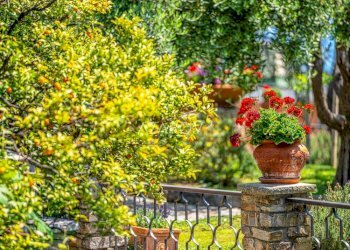 Villa Sanremo - foto 2