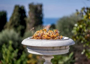 Villa Bordighera - foto 35