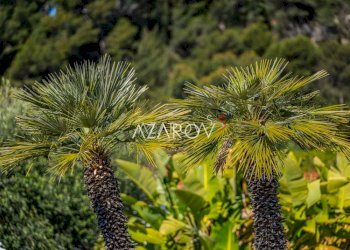 Villa Bordighera - foto 36