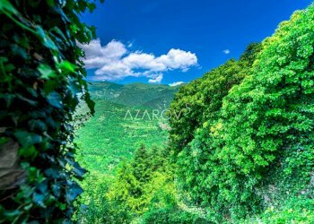 Villa Triora - photo 4