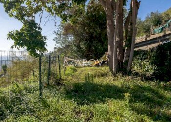 Villa Vallebona - foto 3