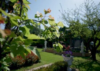 Villa Padova - foto 27